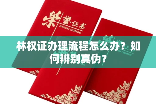 长春林权证办理流程怎么办?如何辨别真伪?