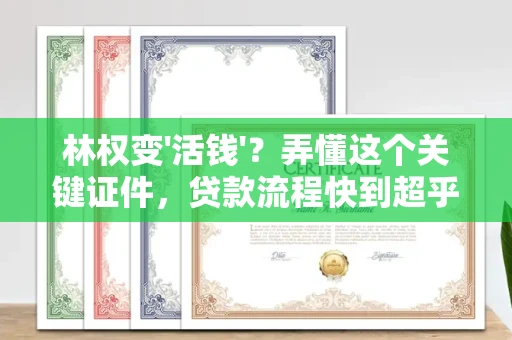 长春林权变'活钱'?弄懂这个关键证件,贷款流程快到超乎想象!
