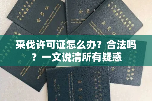 长春采伐许可证怎么办?合法吗?一文说清所有疑惑